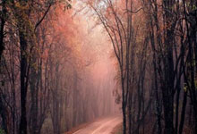 媒体人：据说泰山这几天官宣宿茂臻回归.