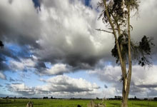 手机虎扑官网：[CBA]常规赛1月4日：广东VS山东.