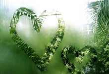 郑钦文VS保利尼 谁能晋级？今晚拭目以待央视体育.